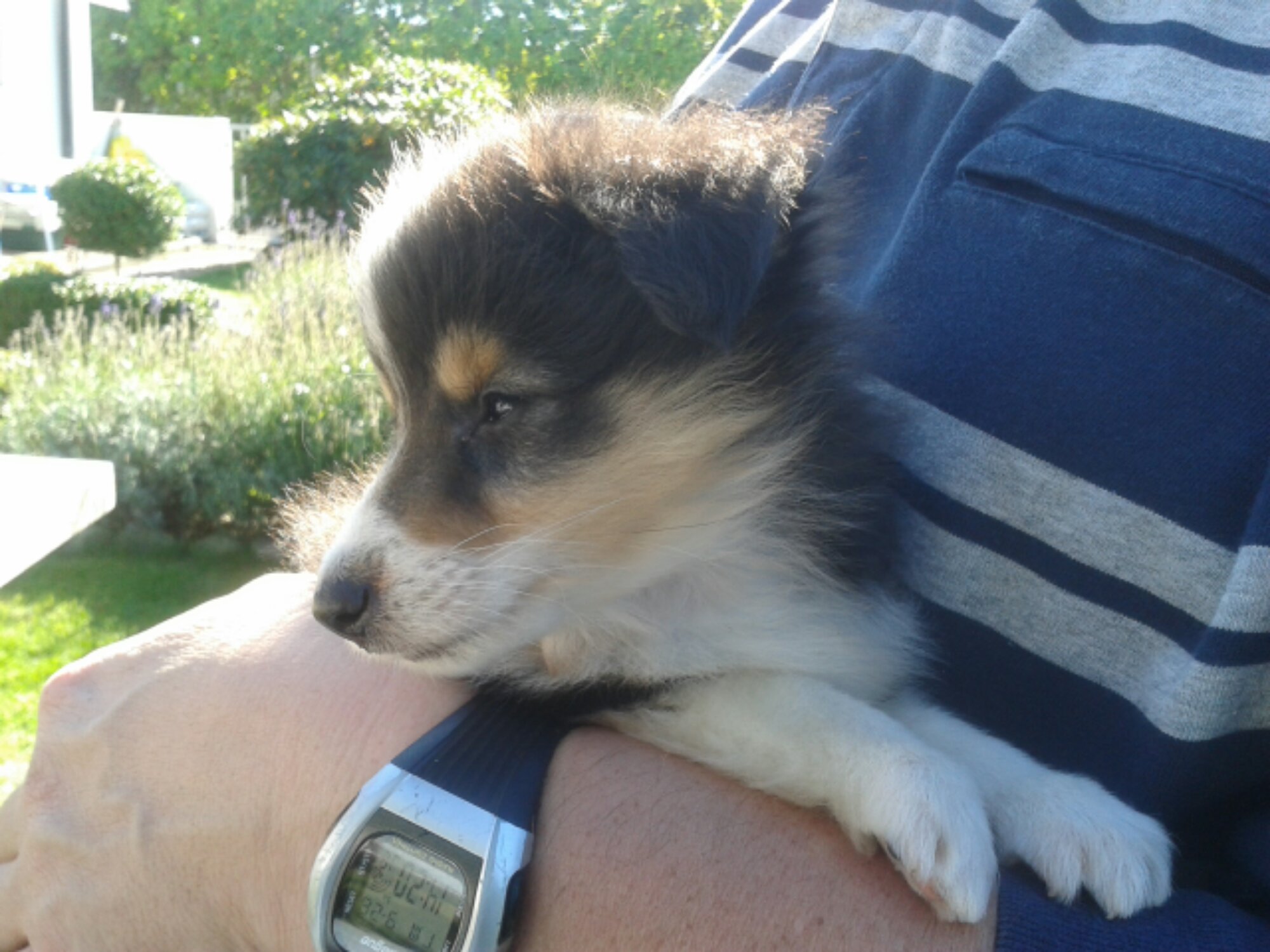 20130928_142013.jpg image
