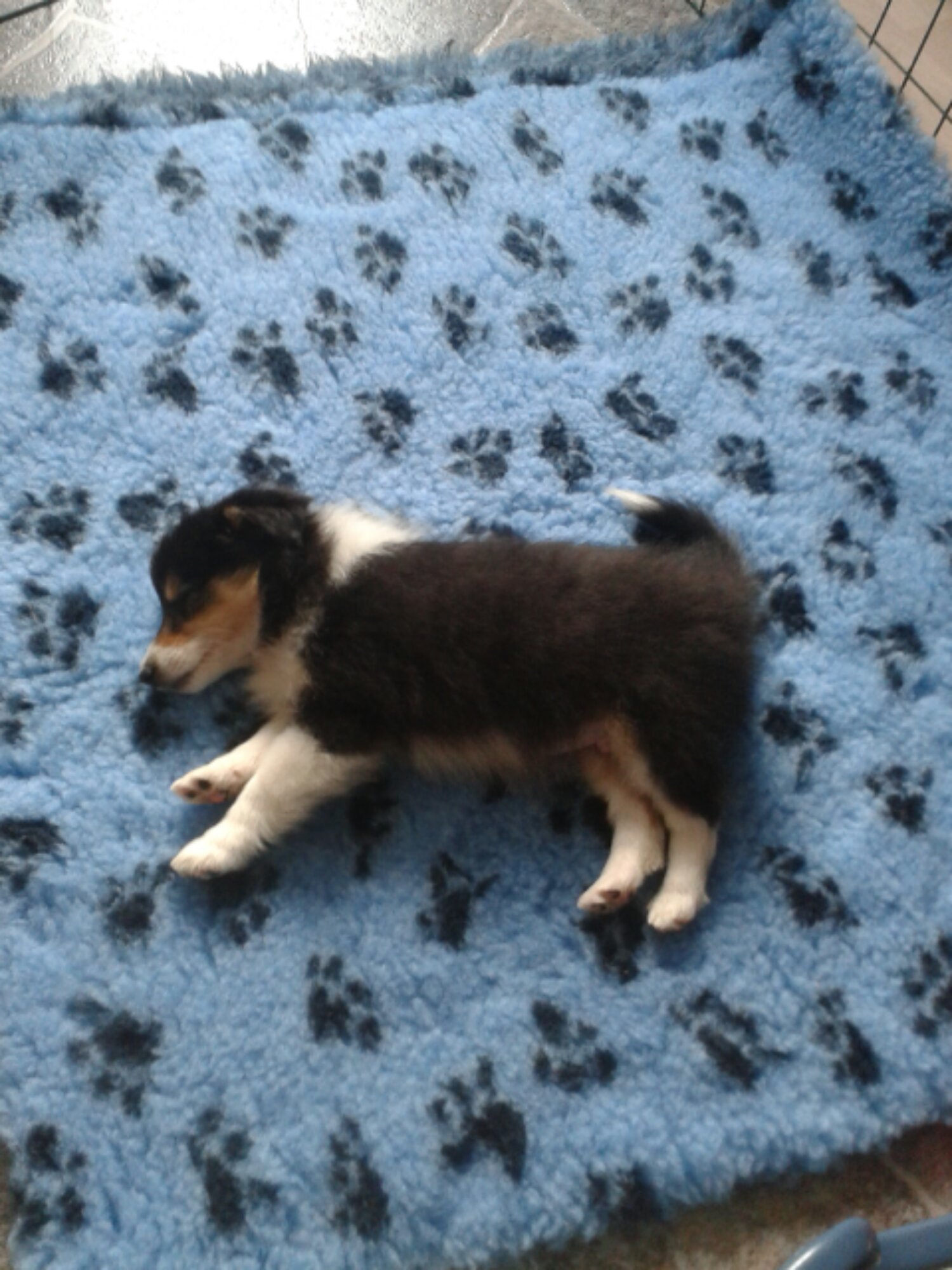 20131004_154057.jpg image