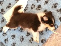 20131016_134050.jpg image
