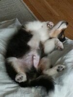20131017_151353.jpg image