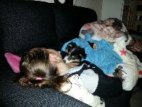 20131116_225407.jpg image