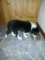20131128_054114.jpg image
