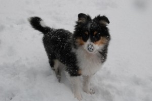Snö i nosen...