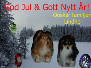 Julhälsning 2014 familjen Lindhe