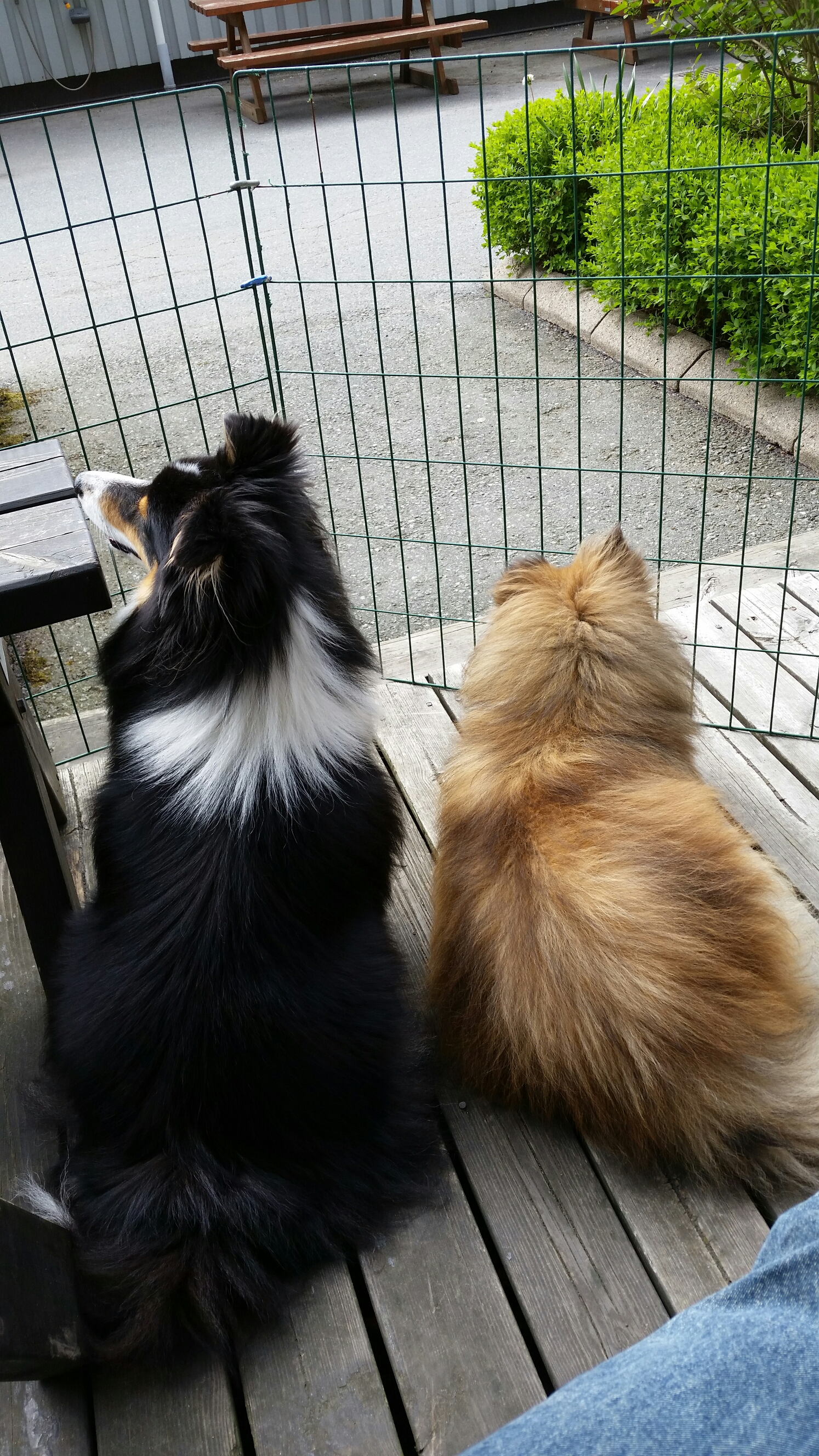 20160521_152047.jpg image